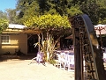 Marin Art and Garden Center